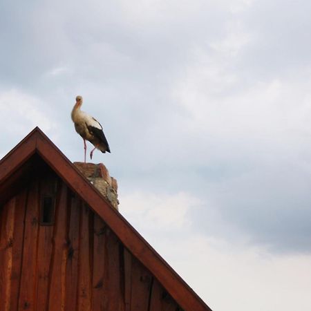 Pod Modrzewiem Pogorzelce Exterior foto