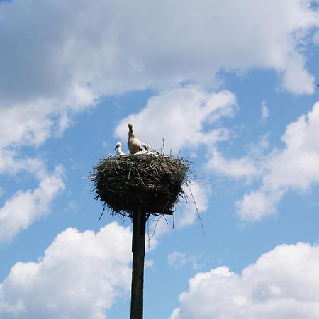 Pod Modrzewiem Pogorzelce Exterior foto