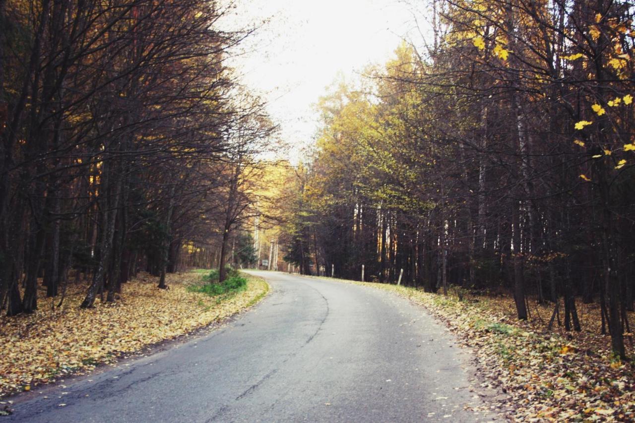 Pod Modrzewiem Pogorzelce Exterior foto