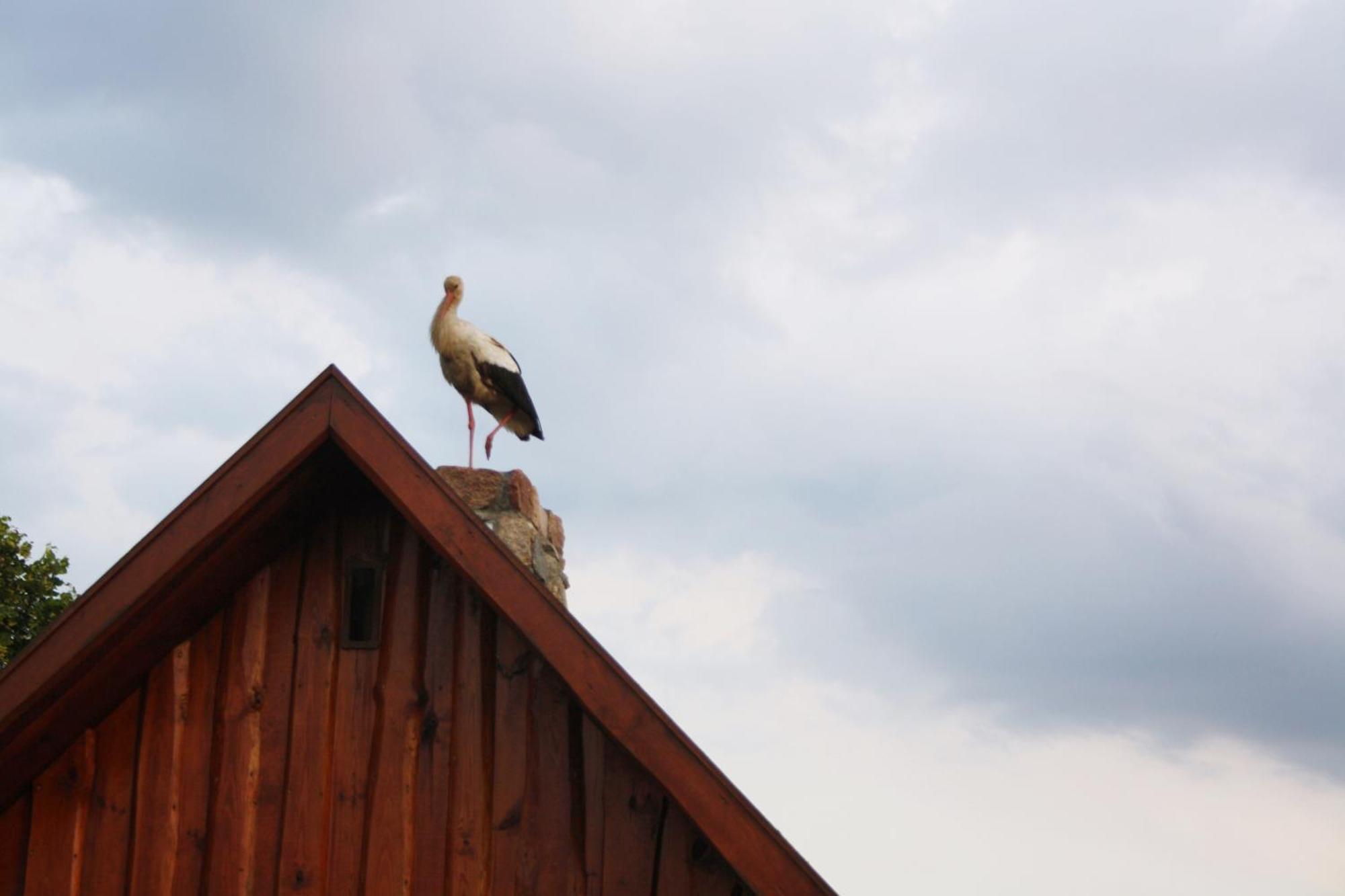 Pod Modrzewiem Pogorzelce Exterior foto